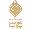 سبد گردان ثروت پویا