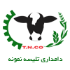 تلیسه