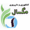 زمگسا